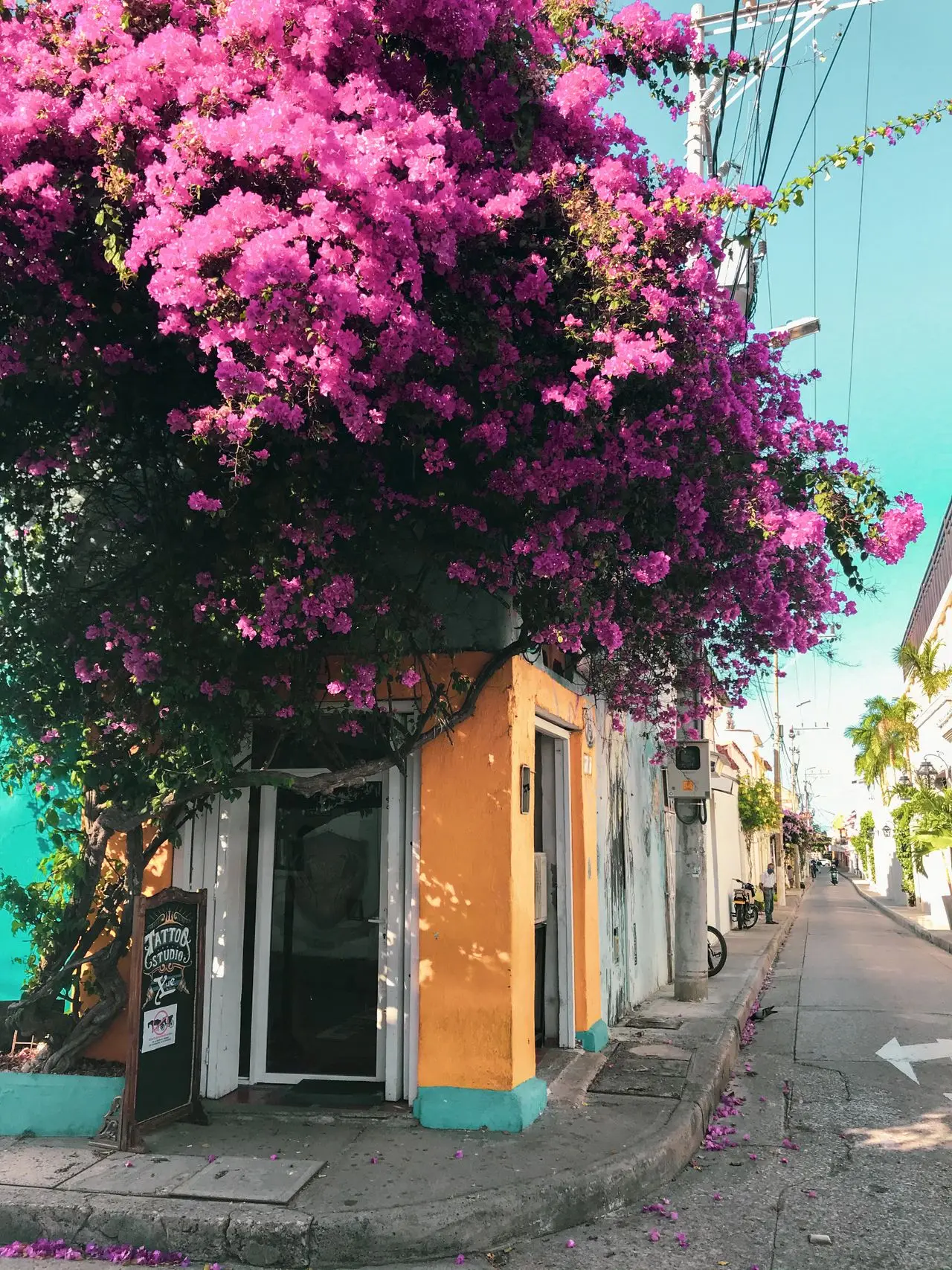 Bougainvillea framing a colourful island street.