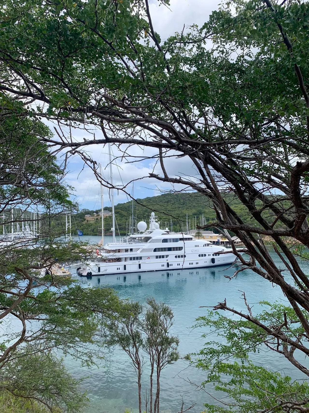 A yacht seen through trees along the coast.