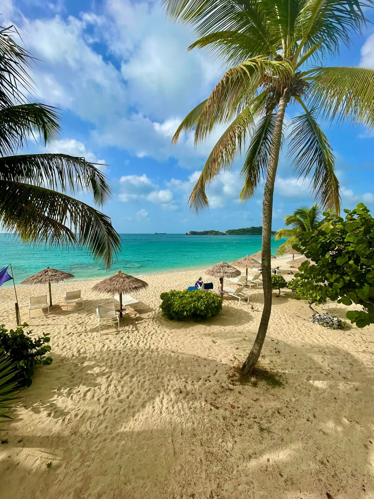 A turquoise beach framed by palm trees.