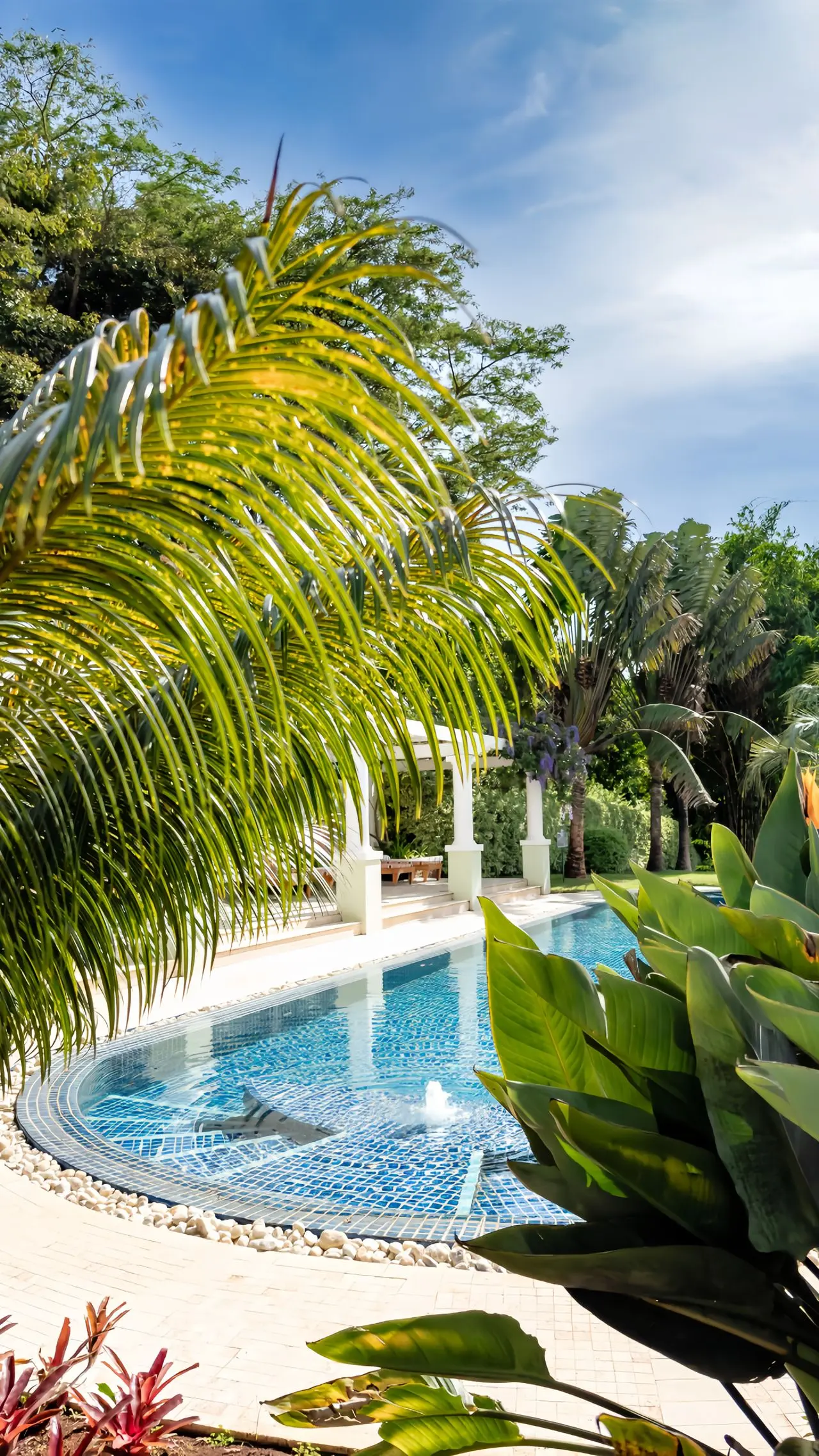 A private pool surrounded by tropical planting.