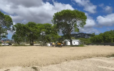 Construction Update July